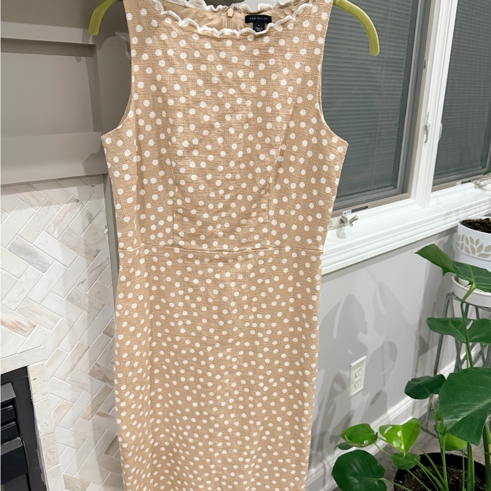 Ann Taylor Tan and White Polka Dot Midi Dress